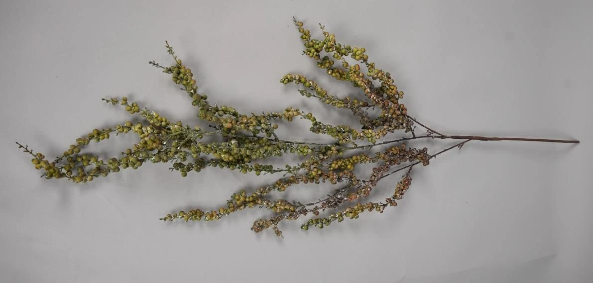 Small Leaf Natural Design Creeper